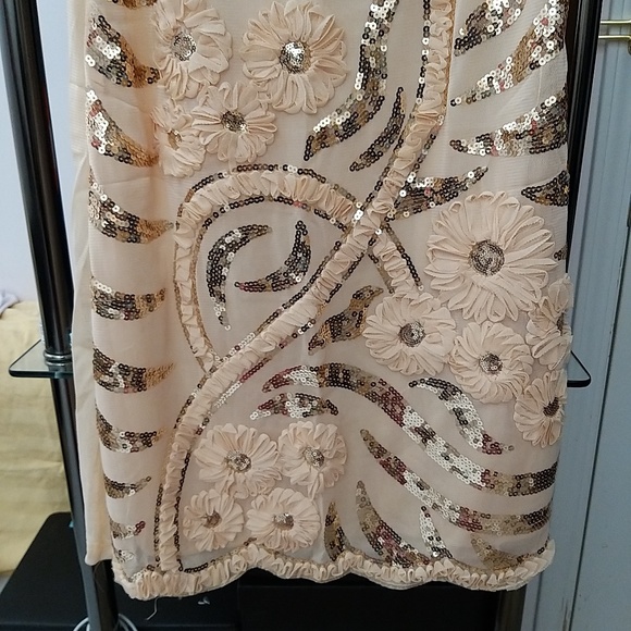 NEW Vicky & Lucas Charlotte Floral Sequin Dress in Beige- one size - Picture 4 of 16